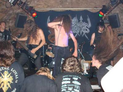 Klick für Originalgröße :DSC00254.jpg